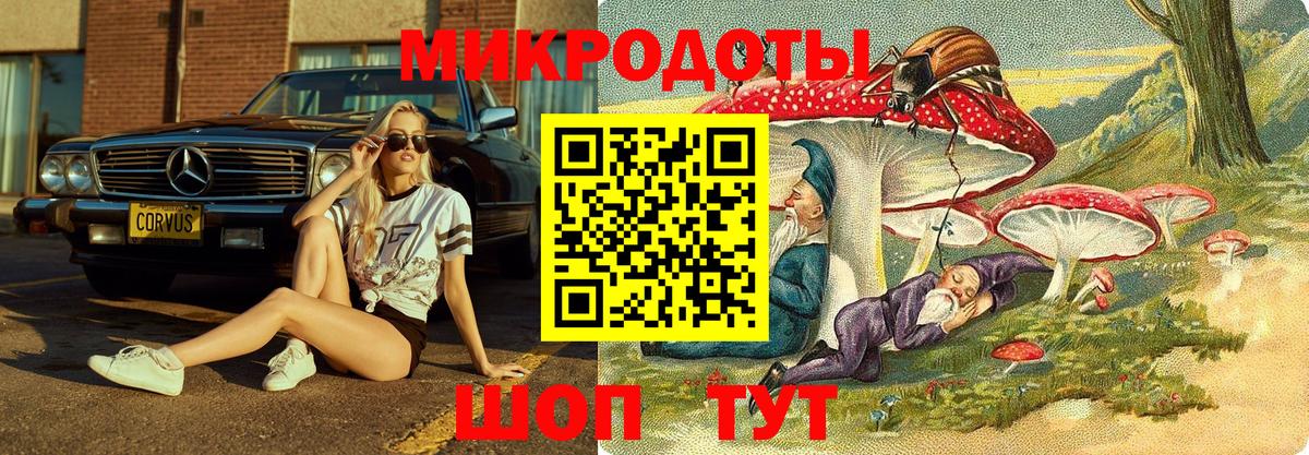 Галлюциногенные грибы Magic Shrooms  Вход с VPN  Галлюциногенные грибы ЛСД  Пенза 
